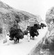 Korea: Farmers bringing firewood to market by ox pass through the Beijing Pass to the north of Seoul, early 20th century